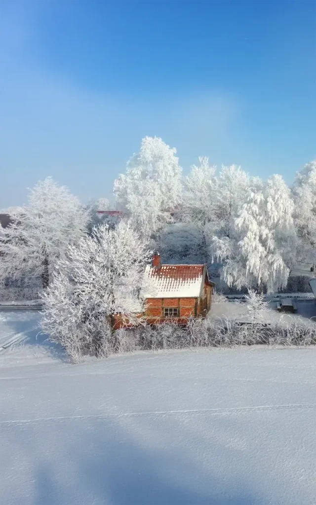 Winterliche Landschaft mit einem Holzhaus umgeben von schneebedeckten Bäumen und blauem Himmel.